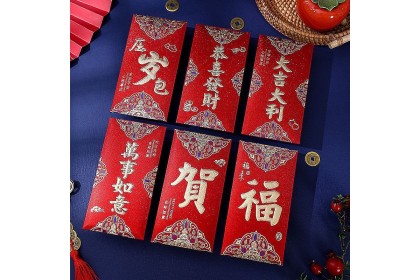 Smartchoice* CNY Gold Stamped Frosted Red Envelope Bag Wedding Birthday Surprise Angpao Budgetstore4u